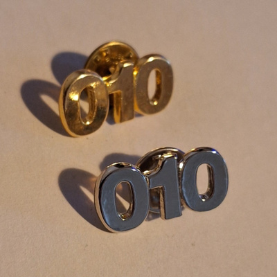 010 PINSSIT