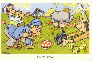 H. EKBACKE : SVAMPING. Sienien keruu.