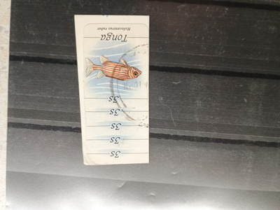 Tonga Postimerkki