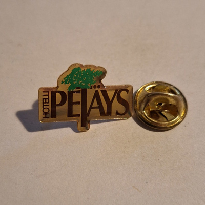 HOTELLI PETÄYS PINSSI