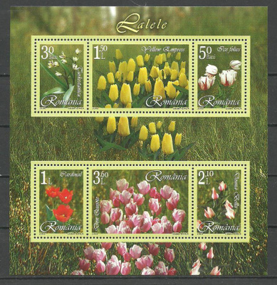 KUKAT ruusut tulppaanit blokki ROMANIA 2006 **