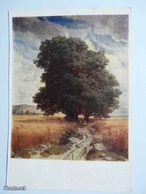 Alexandre Calame: Tammet #887