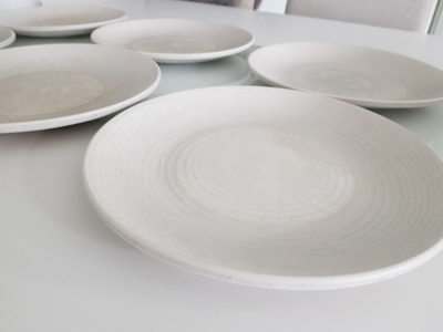Dudson Evolution Lautaset / Ruokalautaset - yht. 6kpl