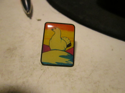 pinssi