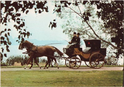 kortti °/** Hevonen tai aasi - erilaisia valokuvakortteja