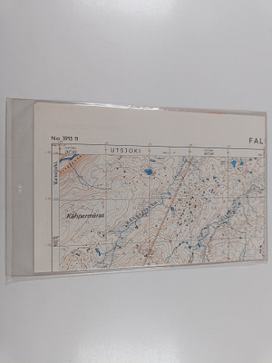 Topografinen kartta 1:20 000, N:o 3913 11 : Fallak