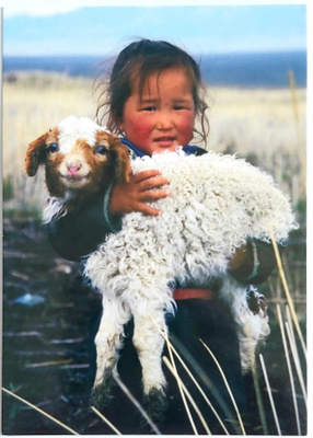 "MONGOLIAN TYTTÖ KILI SYLISSÄ"-KULKEMATON POSTIKORTTI