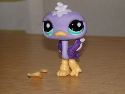 LITTLEST PET SHOP lila STRUTSI, LINTU #2099 + lapio