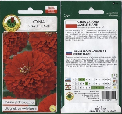 Tsinnia "Scarlet Flame" - siemenet #
