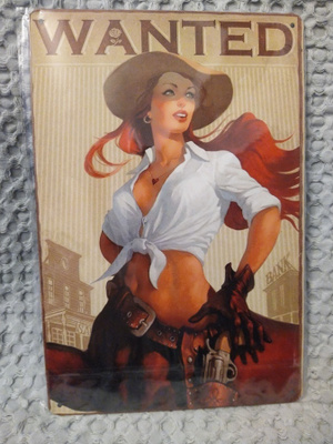 PELTIKYLTTI WANTED 20X30CM *UUSI!*