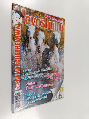 Hevoshullu 9/2013