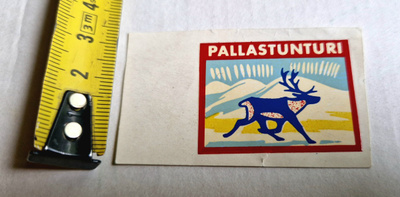 Pallastunturi siirtokuva Poro/Revontulet