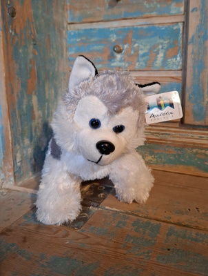 Husky pehmolelu Aurora