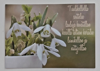 "Tuulikellolla soittelee lauluja.."-KULKEMATON POSTIKORTTI