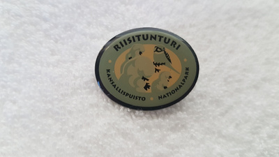 Riisitunturi - pinssi