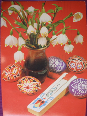 Lumikellot maljakossa -79