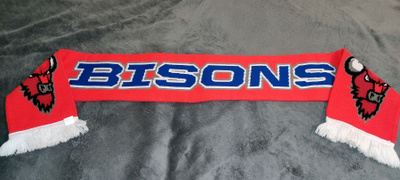 Loimaa Bisons kaulaliina