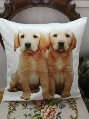 Labradorinnoutajan pennut tyynynpäällinen