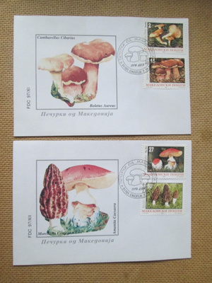 2FDC Makedonia 1997: luonto - sieniä