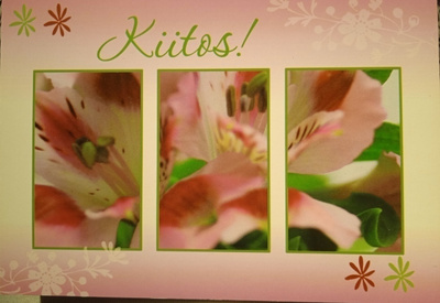 NO 1002 - KIITOS