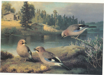 Ferdinand von WRIGHT - "Närhet ja peruna"