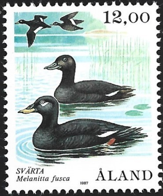 Åland 1987 Lintusarja Pilkkasiipi 12,00 mk ** LaPe 022