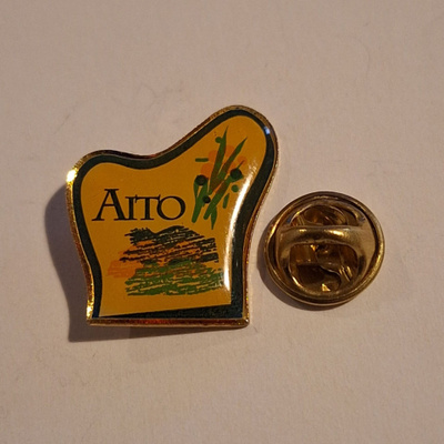 VALIO AITO PINSSI