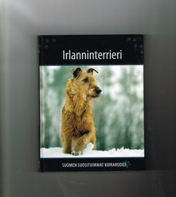 Irlanninterrieri - Suomen suosituimmat koirarodut