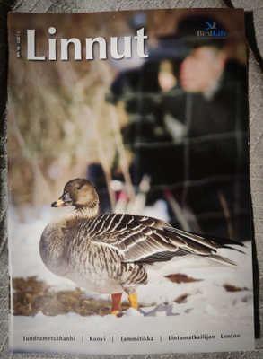 LINNUT - lehti 1/2011 BirdLife