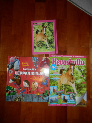 Tikkumäen kepparikirja, Hevoshullu ja muistivihko (#2983)