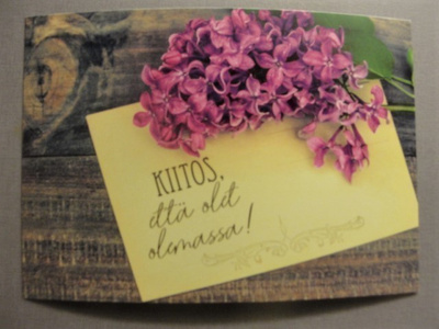 NO 100 -    -KIITOS, että olet olemassa!