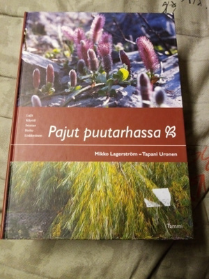 LAGERSTRÖM : PAJUT PUUTARHASSA