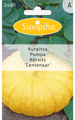 Kurpitsa "CENTENAAR" siemenet #