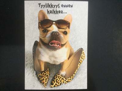 TYYLIKKYYS ENNEN KAIKKEA - POSTIKORTTI.