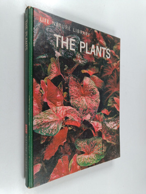 Rfits W. Went : The Plants