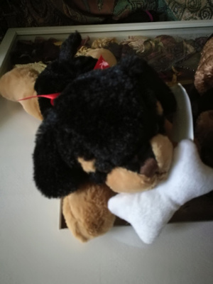 Pehmolelu koira luu suussa n. 25 cm korkea ruskea musta