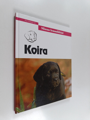 Koira