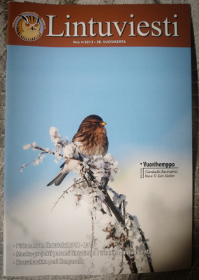 LINTUVIESTI 4/2013 Pily yhdistyslehti
