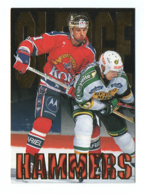 Leaf Jääkiekkokortti 1996  Iiro Järvi  8 / 9