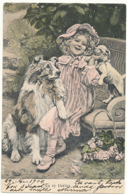 Tyttönen ja koirat - Carte Postale, kulk. 1904