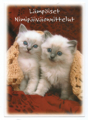 Postikortti Kissa