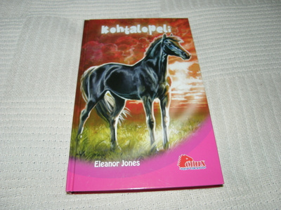 Eleanor Jones Kohtalopeli
