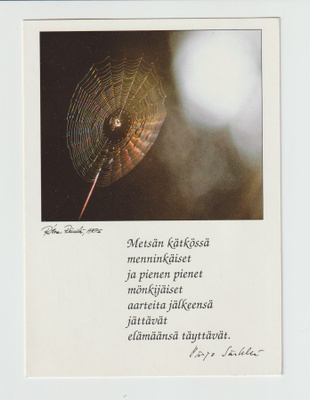 TAIDEKORTTI, Ritva Reinilä ja Pirjo Särkkä