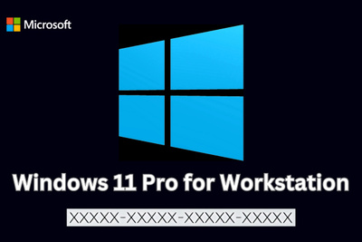 Windows 11 Pro for Workstation