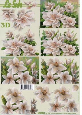 3D °"HIENOT VAALEASÄVYISET KUKAT°" / Le Suh