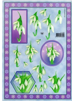 3D "°JOULUKUKKIA & BOORDIA°"