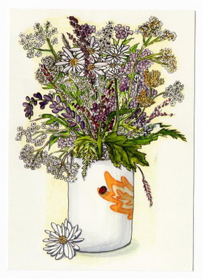 Niittykukat ja leppäkerttu - Jennie Sjöström - kulk. 2014
