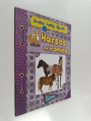 Paul Mason : Horses and Ponies