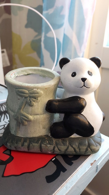PANDA KUKKAPURKKI / TUIKKU
