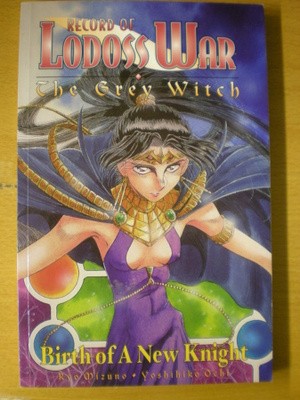 Ryo Mizuno - Yoshihiko Ochi: Record of Lodoss War - The Grey